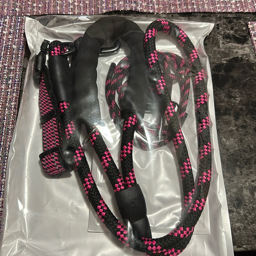 Dog Leash and Collar